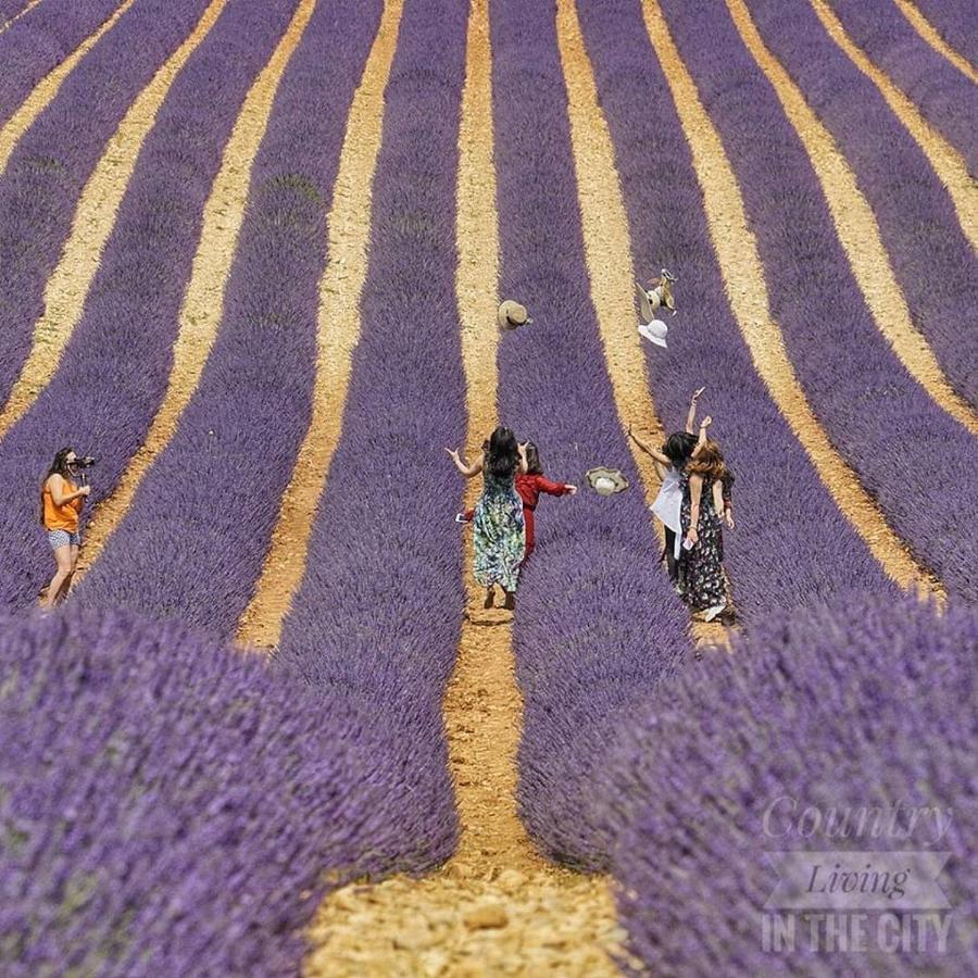 Au Paradis Des Grillons Espinasses エクステリア 写真